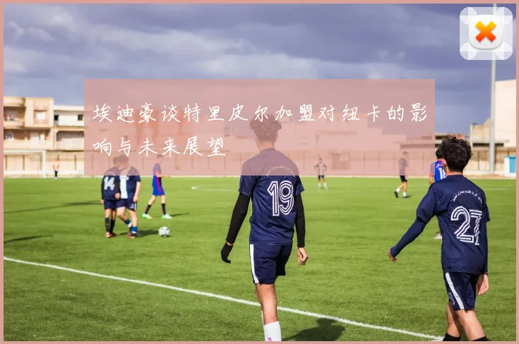 埃迪豪谈特里皮尔加盟对纽卡的影响与未来展望
