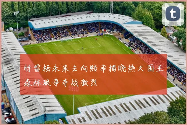 特雷杨未来去向赔率揭晓热火国王森林狼争夺战激烈