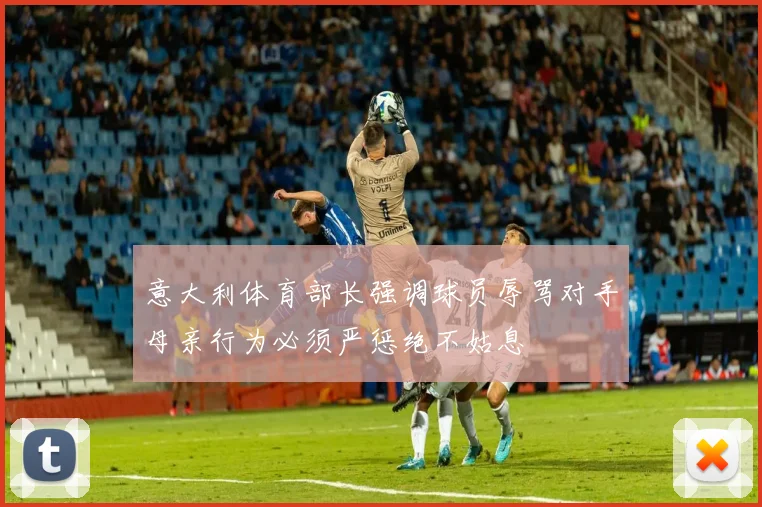 意大利体育部长强调球员辱骂对手母亲行为必须严惩绝不姑息