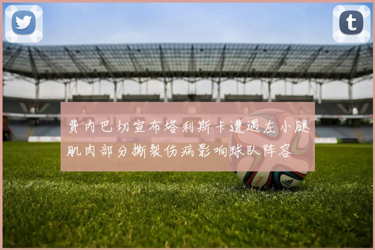 费内巴切宣布塔利斯卡遭遇左小腿肌肉部分撕裂伤病影响球队阵容