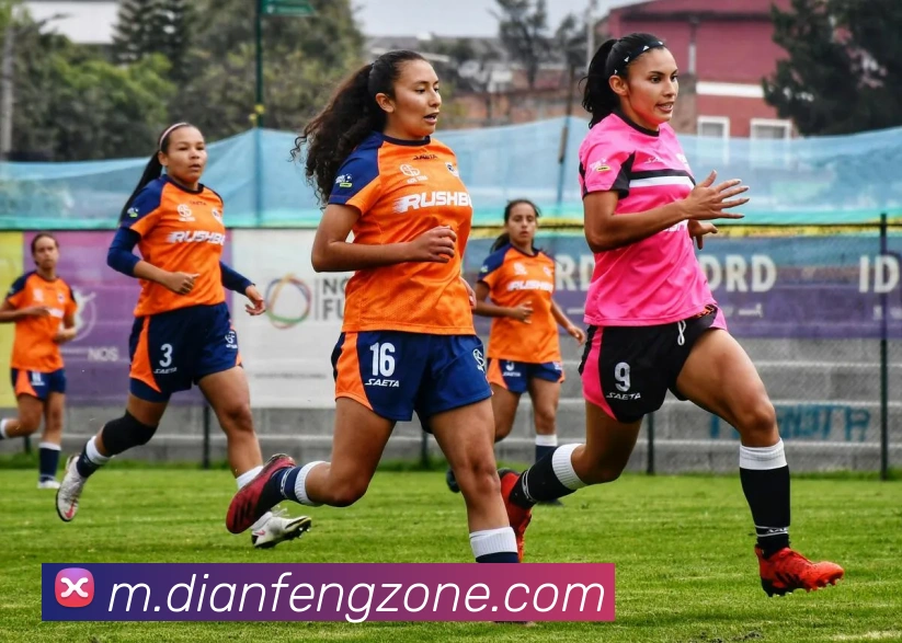 巅峰国际发展历程